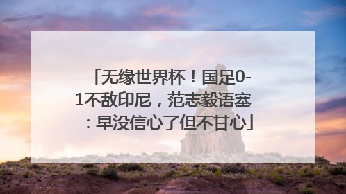 无缘世界杯！国足0-1不敌印尼，范志毅语塞：早没信心了但不甘心
