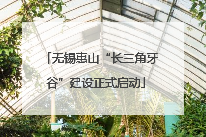 无锡惠山“长三角牙谷”建设正式启动