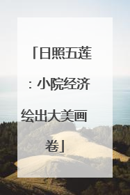 日照五莲：小院经济绘出大美画卷
