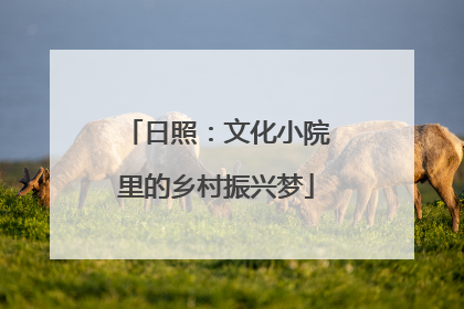 日照：文化小院里的乡村振兴梦