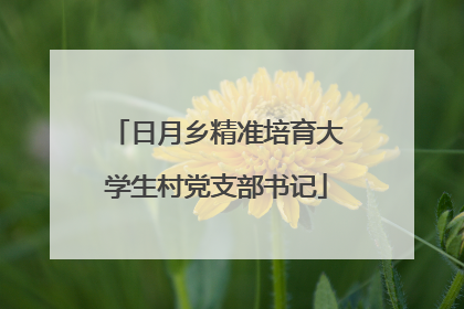 日月乡精准培育大学生村党支部书记
