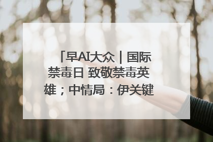 早AI大众｜国际禁毒日 致敬禁毒英雄；中情局：伊关键核设施被摧毁