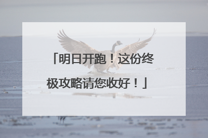 明日开跑！这份终极攻略请您收好！
