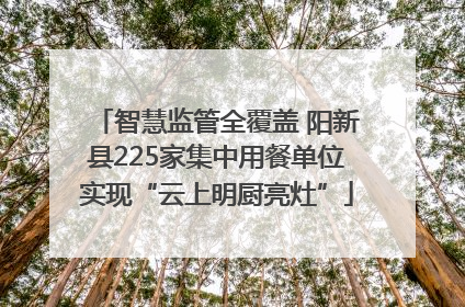 智慧监管全覆盖 阳新县225家集中用餐单位实现“云上明厨亮灶”