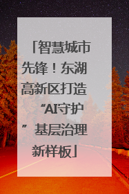 智慧城市先锋！东湖高新区打造“AI守护”基层治理新样板