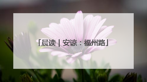 晨读｜安谅：福州路