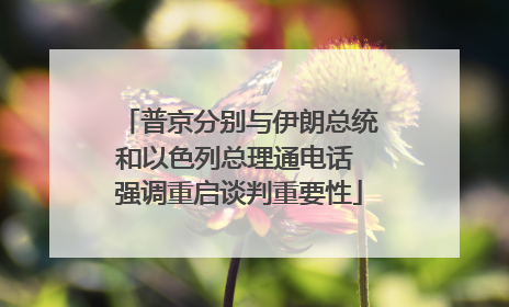 普京分别与伊朗总统和以色列总理通电话 强调重启谈判重要性