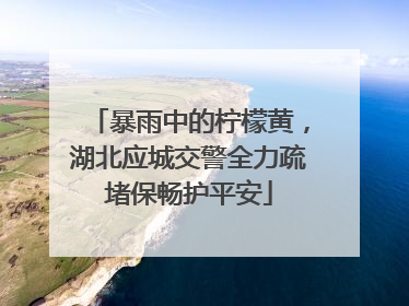 暴雨中的柠檬黄，湖北应城交警全力疏堵保畅护平安