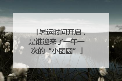 暑运时间开启，是谁迎来了一年一次的“小团圆”