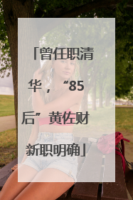 曾任职清华，“85后”黄佐财新职明确