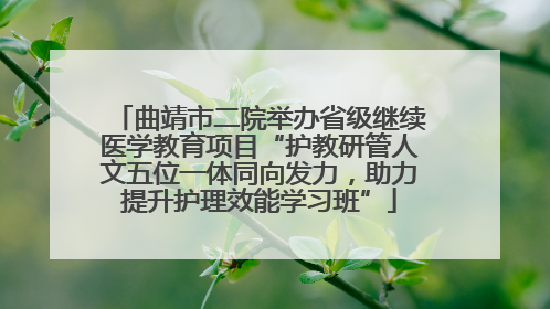 曲靖市二院举办省级继续医学教育项目“护教研管人文五位一体同向发力，助力提升护理效能学习班”