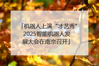 机器人上演“才艺秀” 2025智能机器人发展大会在南京召开