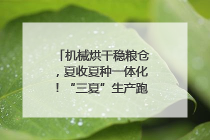 机械烘干稳粮仓，夏收夏种一体化！“三夏”生产跑出加速度｜麦报
