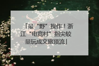 最“野”操作！浙江“电竞村”指尖较量玩成文旅顶流