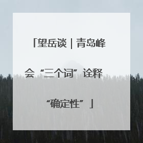 望岳谈｜青岛峰会“三个词”诠释“确定性”