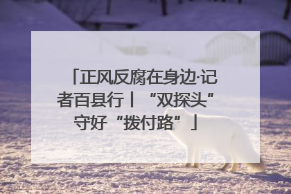 正风反腐在身边·记者百县行丨“双探头”守好“拨付路”