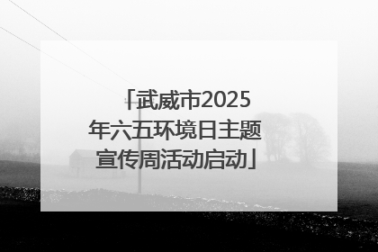 武威市2025年六五环境日主题宣传周活动启动