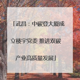 武昌：中碳登大厦成立楼宇党委 推进双碳产业高质量发展