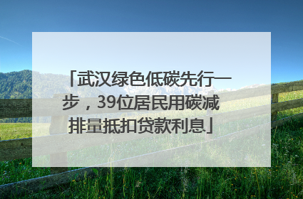 武汉绿色低碳先行一步，39位居民用碳减排量抵扣贷款利息