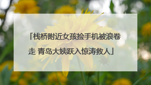 栈桥附近女孩捡手机被浪卷走 青岛大姨跃入惊涛救人