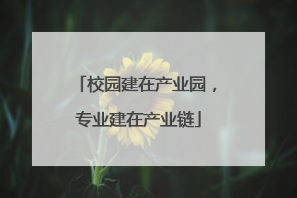 校园建在产业园，专业建在产业链