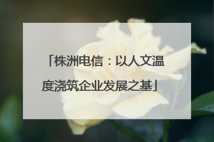 株洲电信：以人文温度浇筑企业发展之基