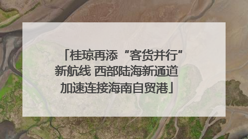 桂琼再添“客货并行”新航线 西部陆海新通道加速连接海南自贸港