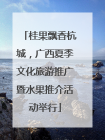 桂果飘香杭城，广西夏季文化旅游推广暨水果推介活动举行