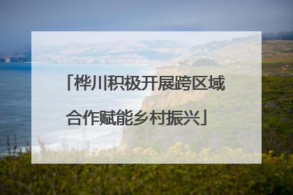 桦川积极开展跨区域合作赋能乡村振兴