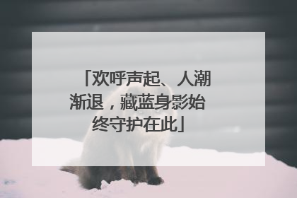 欢呼声起、人潮渐退，藏蓝身影始终守护在此