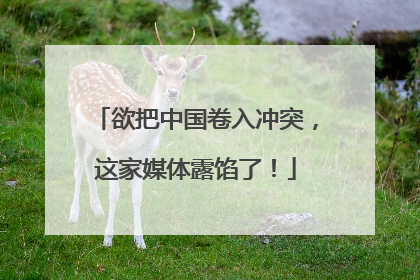 欲把中国卷入冲突，这家媒体露馅了！