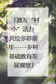 激发“村小”活力 共绘多彩童年——乡村基础教育发展观察