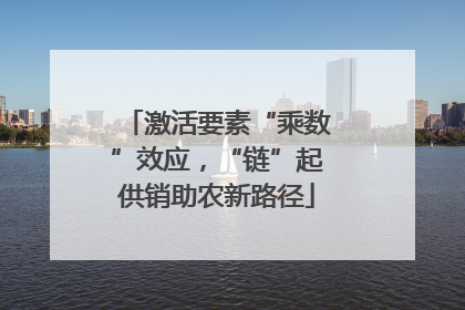 激活要素“乘数”效应，“链”起供销助农新路径