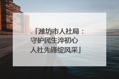 潍坊市人社局：守护民生淬初心 人社先锋绽风采