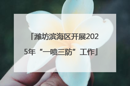 潍坊滨海区开展2025年“一喷三防”工作