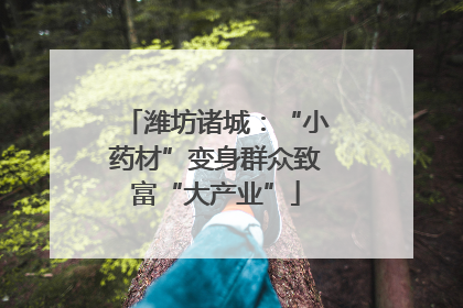 潍坊诸城：“小药材”变身群众致富“大产业”