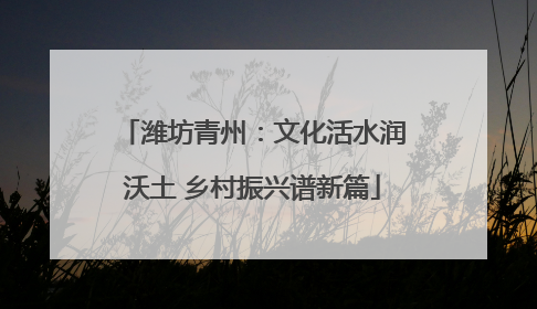 潍坊青州：文化活水润沃土 乡村振兴谱新篇