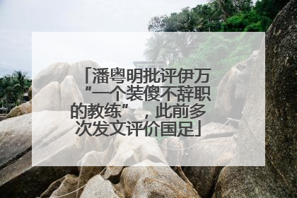 潘粤明批评伊万“一个装傻不辞职的教练”，此前多次发文评价国足