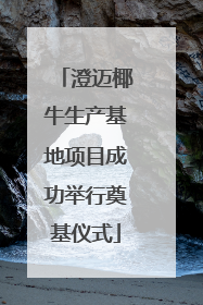 澄迈椰牛生产基地项目成功举行奠基仪式