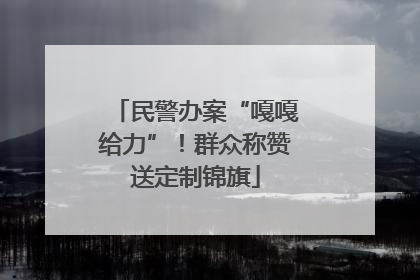 民警办案“嘎嘎给力”！群众称赞送定制锦旗