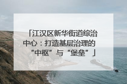 江汉区新华街道综治中心：打造基层治理的“中枢”与“堡垒”