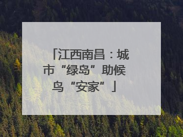 江西南昌：城市“绿岛”助候鸟“安家”