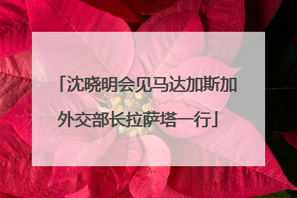 沈晓明会见马达加斯加外交部长拉萨塔一行