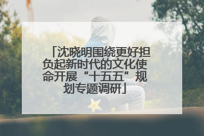 沈晓明围绕更好担负起新时代的文化使命开展“十五五”规划专题调研