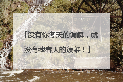 没有你冬天的调解，就没有我春天的菠菜！