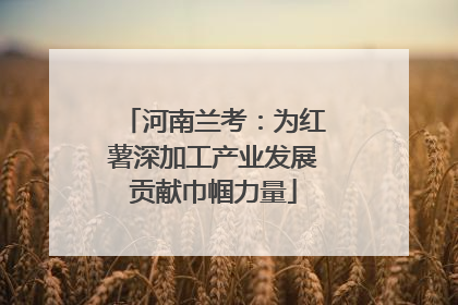 河南兰考：为红薯深加工产业发展贡献巾帼力量