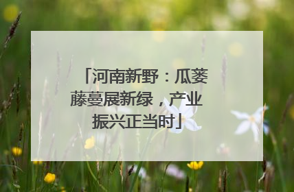 河南新野：瓜蒌藤蔓展新绿，产业振兴正当时