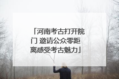河南考古打开院门 邀请公众零距离感受考古魅力
