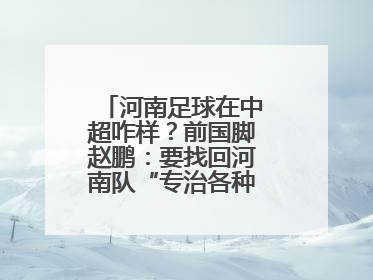 河南足球在中超咋样？前国脚赵鹏：要找回河南队“专治各种不服”的精神