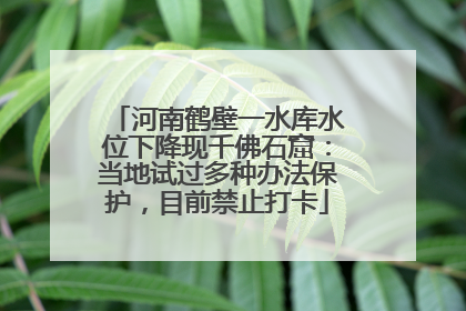 河南鹤壁一水库水位下降现千佛石窟：当地试过多种办法保护，目前禁止打卡